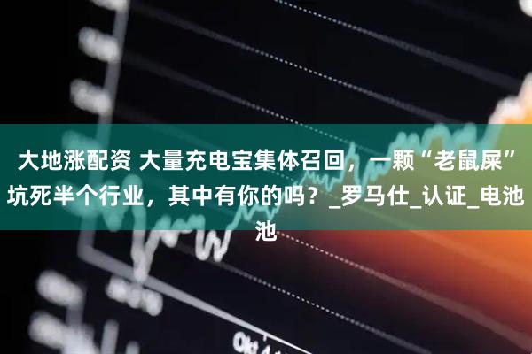 大地涨配资 大量充电宝集体召回，一颗“老鼠屎”坑死半个行业，其中有你的吗？_罗马仕_认证_电池